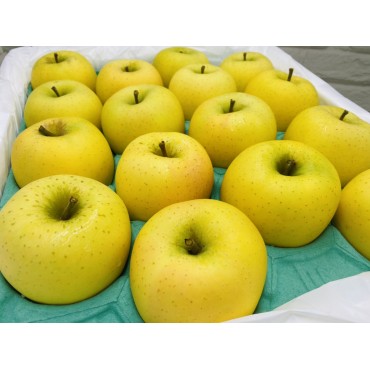 日本青森黃金蘋果...