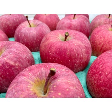 日本青森套袋富士...