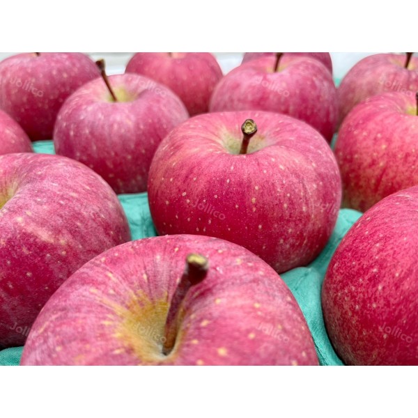 日本青森套袋富士