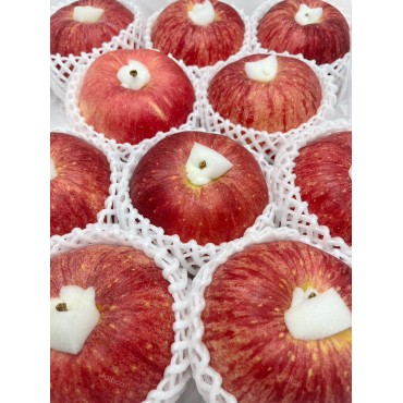 日本青森世界一蘋果...