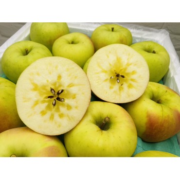 日本️青森蜜名月蘋果...