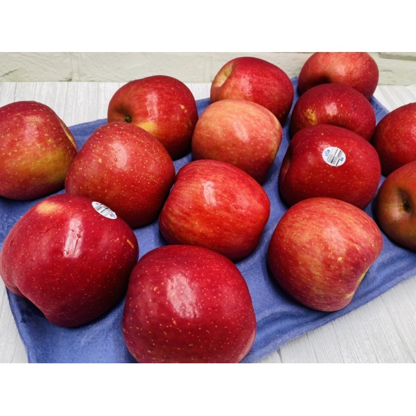 美國華盛頓富士